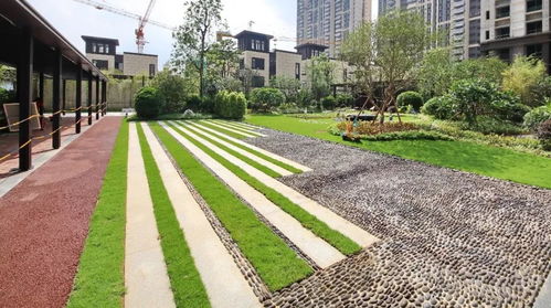 招聘信息，你堪了没？