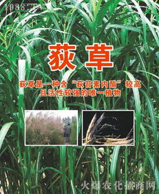 新型农药，效果更佳