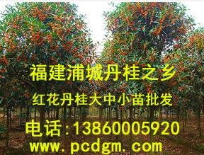 土壤管理：春季除草， 温暖中的挑战