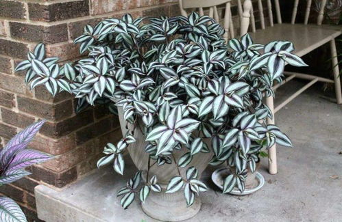 水啊，水，这水是怎么了