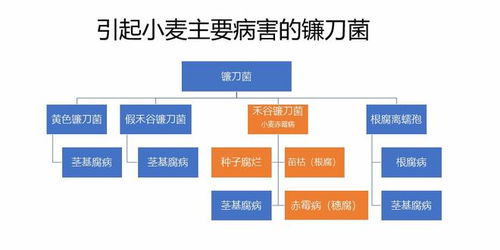 时间选择，至关重要