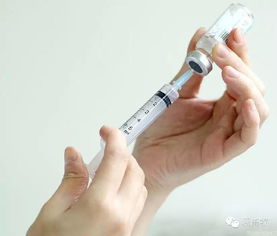 如何掌握养猪人常用的3个高效打疫苗技巧？