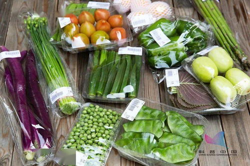 防治柚子农药害虫，选对农药是关键！