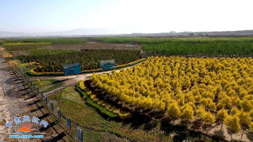 生态修复， 哪家强