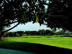 高尔夫球场的俯视图，让你领略不一样的美景