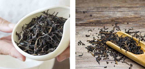 普洱茶生茶熟茶，究竟有何不同
