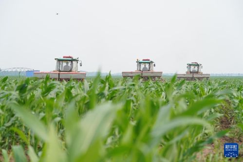 夏季高温多雨，科学管理