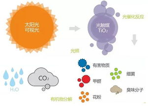 去甲醛，这几种方法你Zui该知道！