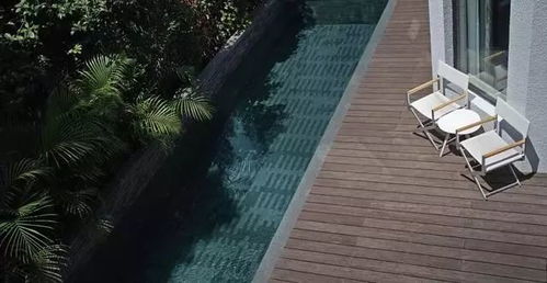 院子里种凤尾竹指南：打造完美绿意空间