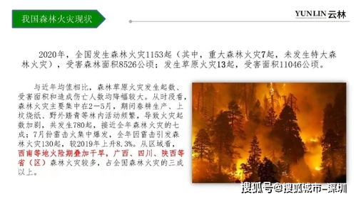 “智慧林，你从哪里来