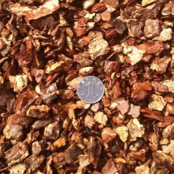 松树皮的局限性