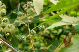 新手常掉进这三个烧钱坑：