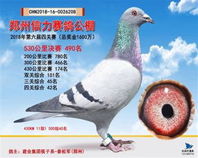 中国信鸽品种繁多，其中以京巴鸽、蒙鸽、苏北鸽等最为著名