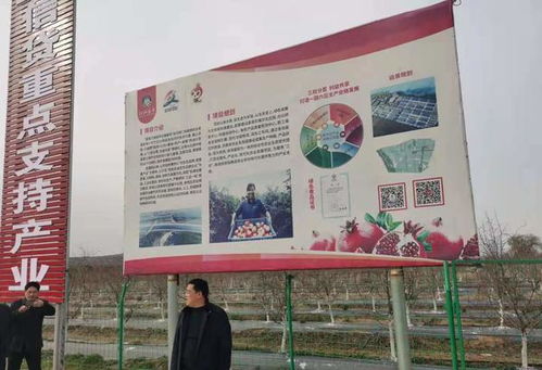 合作共赢，共谋发展大计