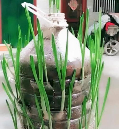 废物利用, 生活更美好