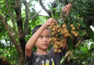 二、判断成熟度的简单方法
