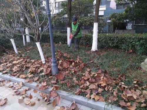冬季园林养护的关键措施