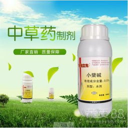 大蒜浸种， 药剂选择多