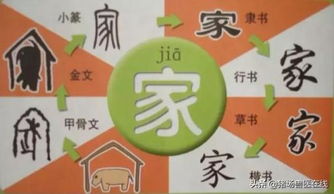 猪安全保健，养殖无忧