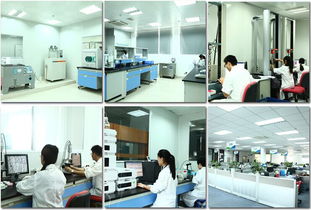 检测机构的专业性