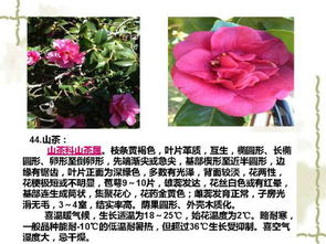 养护成本低至省60%，这是真的吗？