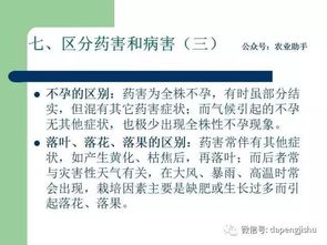 聊聊农药那些事儿——吡虫啉用量与价格的关系