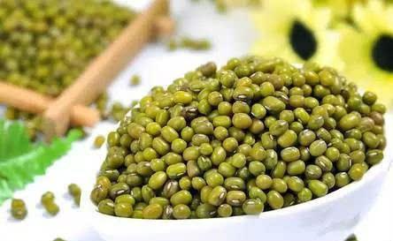 绿豆发芽全纪录！绿豆生长过程图片大全