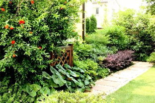 草坪的养护与管理