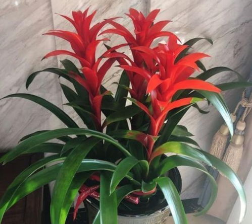 换土施肥， 保持土壤肥沃