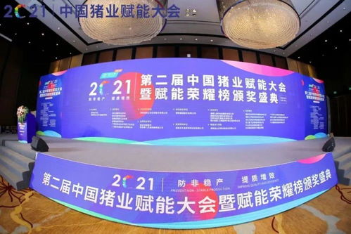 双胞胎饲料的经营理念与企业文化，如何促进双胞胎集团在饲料行业的持续领先地位？