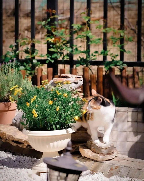 上海：四季生花的城市