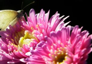 播种后的那些事儿