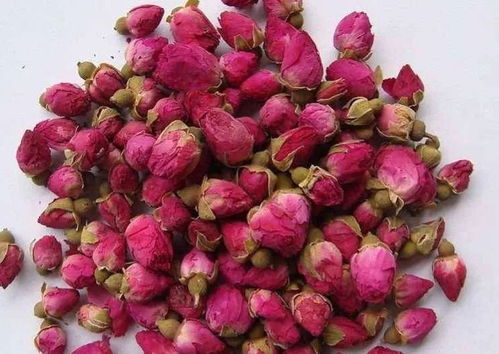 玫瑰花的作用有哪些？这些功效你知道吗