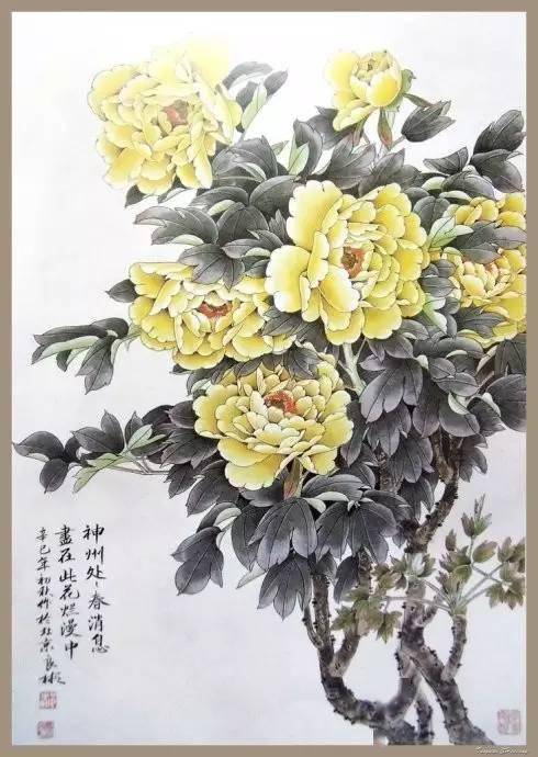 线描牡丹花教程，新手也能轻松画出美牡丹