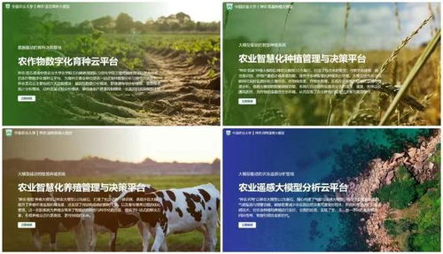 农业养殖团队，涵盖饲养、管理、技术等岗位