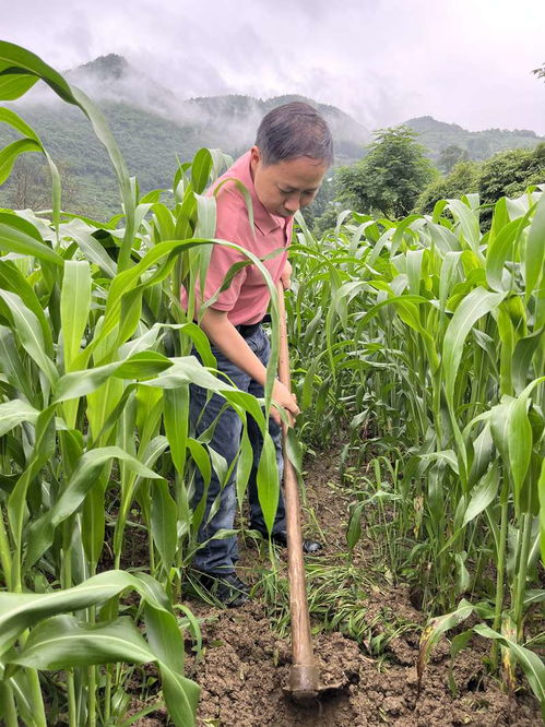 防范为主，治疗为辅