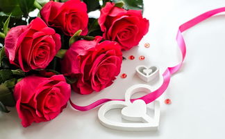 情人节送盆栽玫瑰， 让爱情更加长久