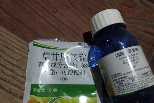 降雨对除草剂效果的影响