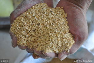 天津邦基正大豆粕今日价格是多少？豆粕价格有没有上涨？