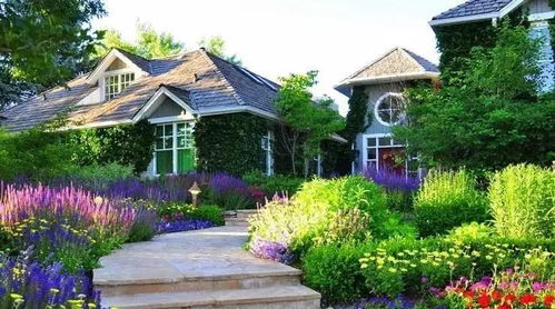 特色植物：大自然的绿色宝石