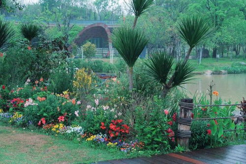 公园里的蓝色花姐妹：二月蓝、 阿拉伯婆婆纳、蓝盆花