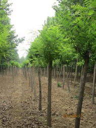 历史价格， 年份大全