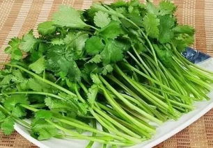 香草里的秘密，你知道吗？