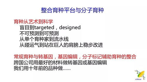 饲料育种真能年赚百万？95后妹子9个月回本53万，是骗局吗？