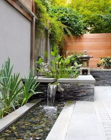 打造既美观又健康的水景空间