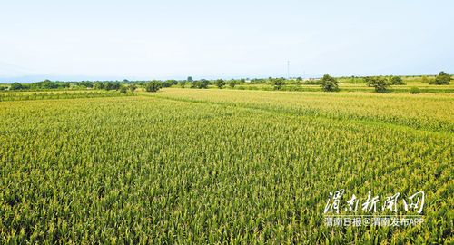 亩用量计算公式