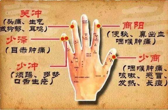 小富勤俭对应的花卉——黄金菊