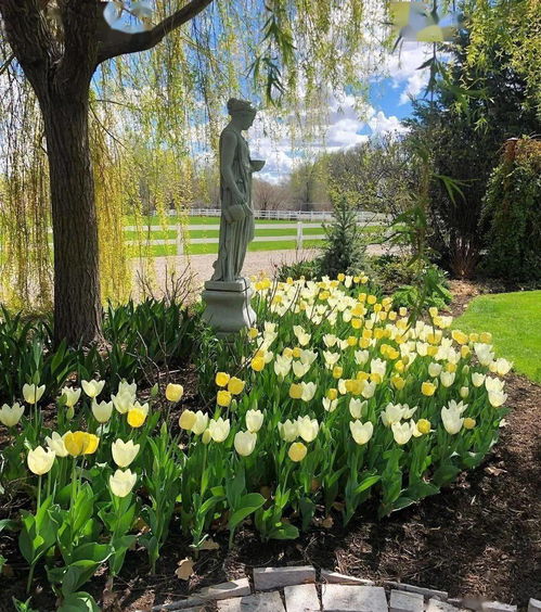 园艺秘籍， 你懂我懂大家懂