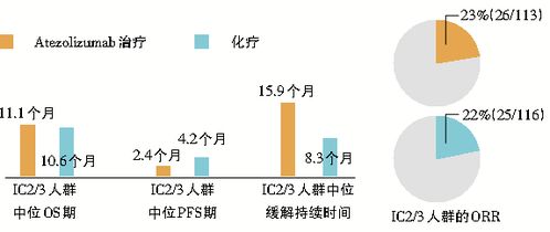 dan是 我们需要特bie注意：