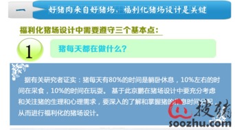 优化猪场员工排班，提升福利待遇
